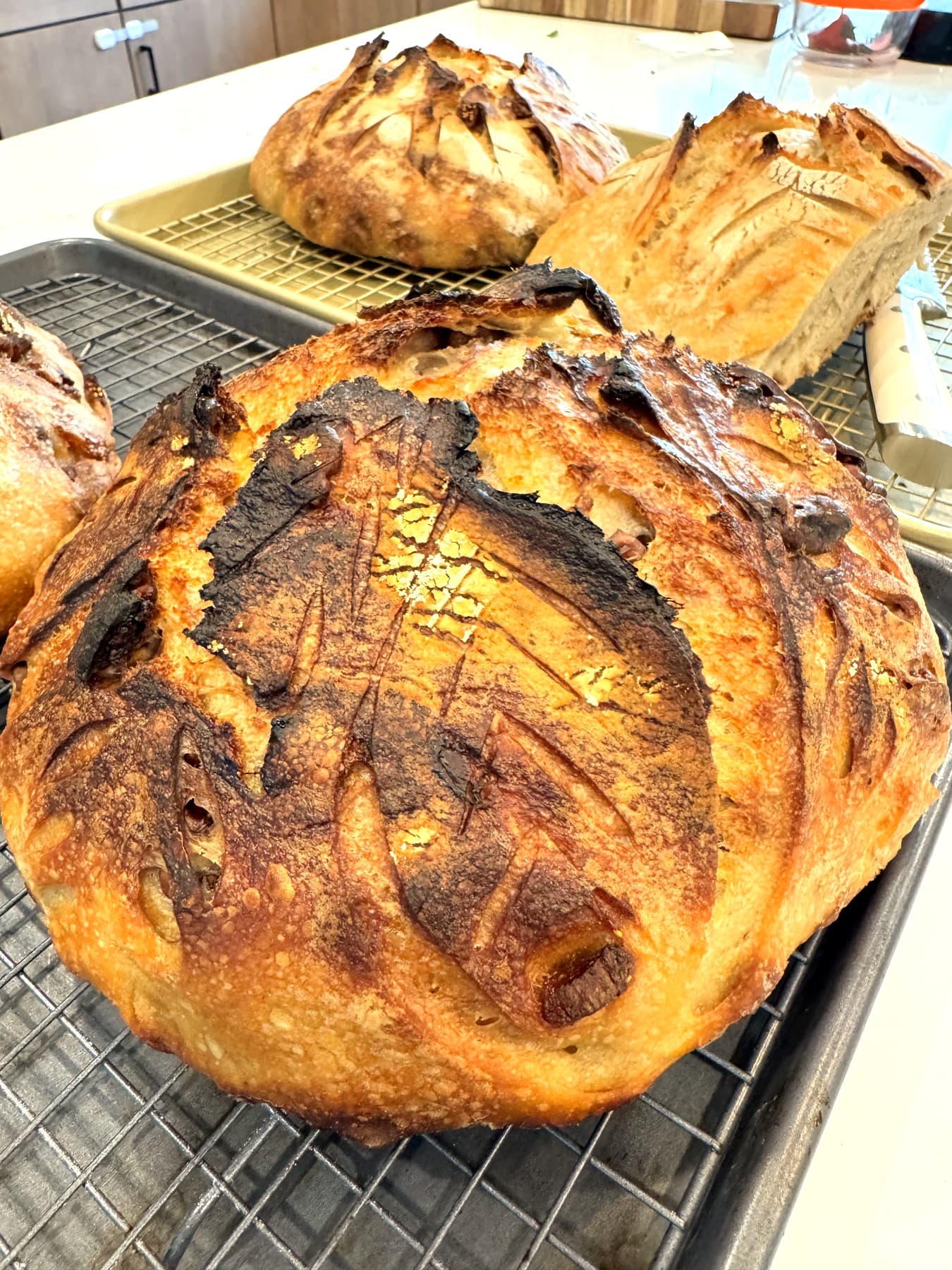 Fig and Walnut Sourdough
