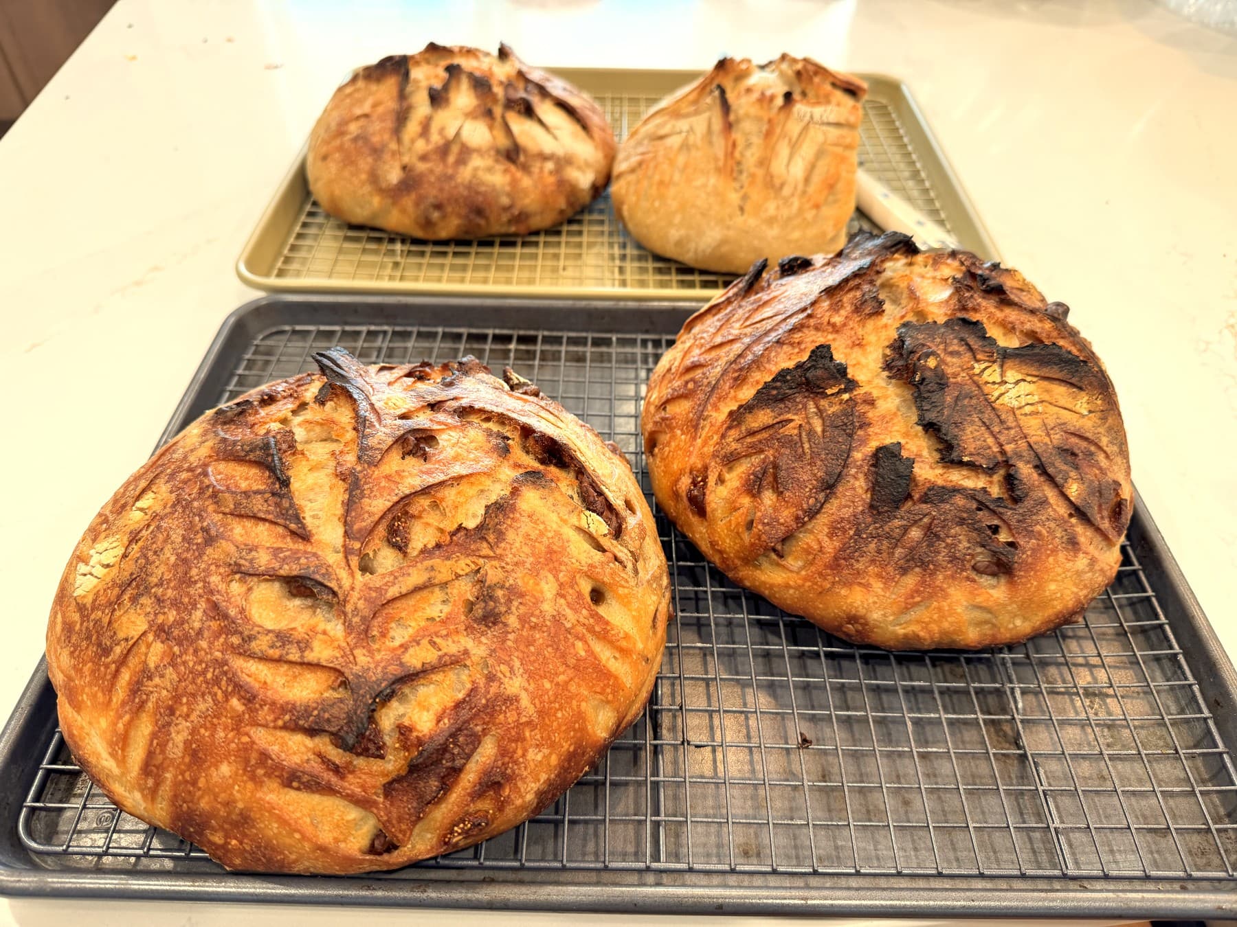 Fig and Walnut Sourdough