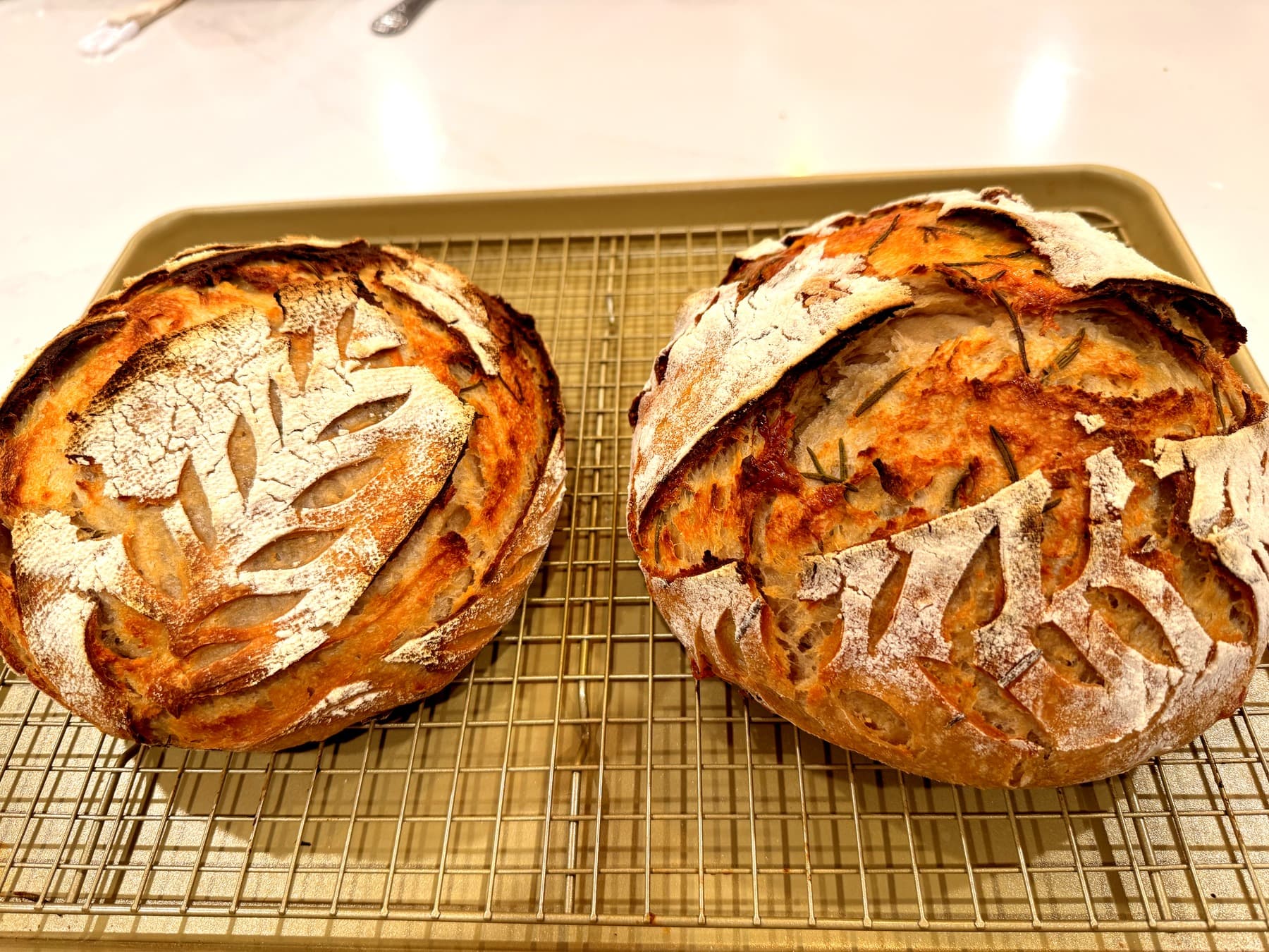 Parmesan & Rosemary Sourdough