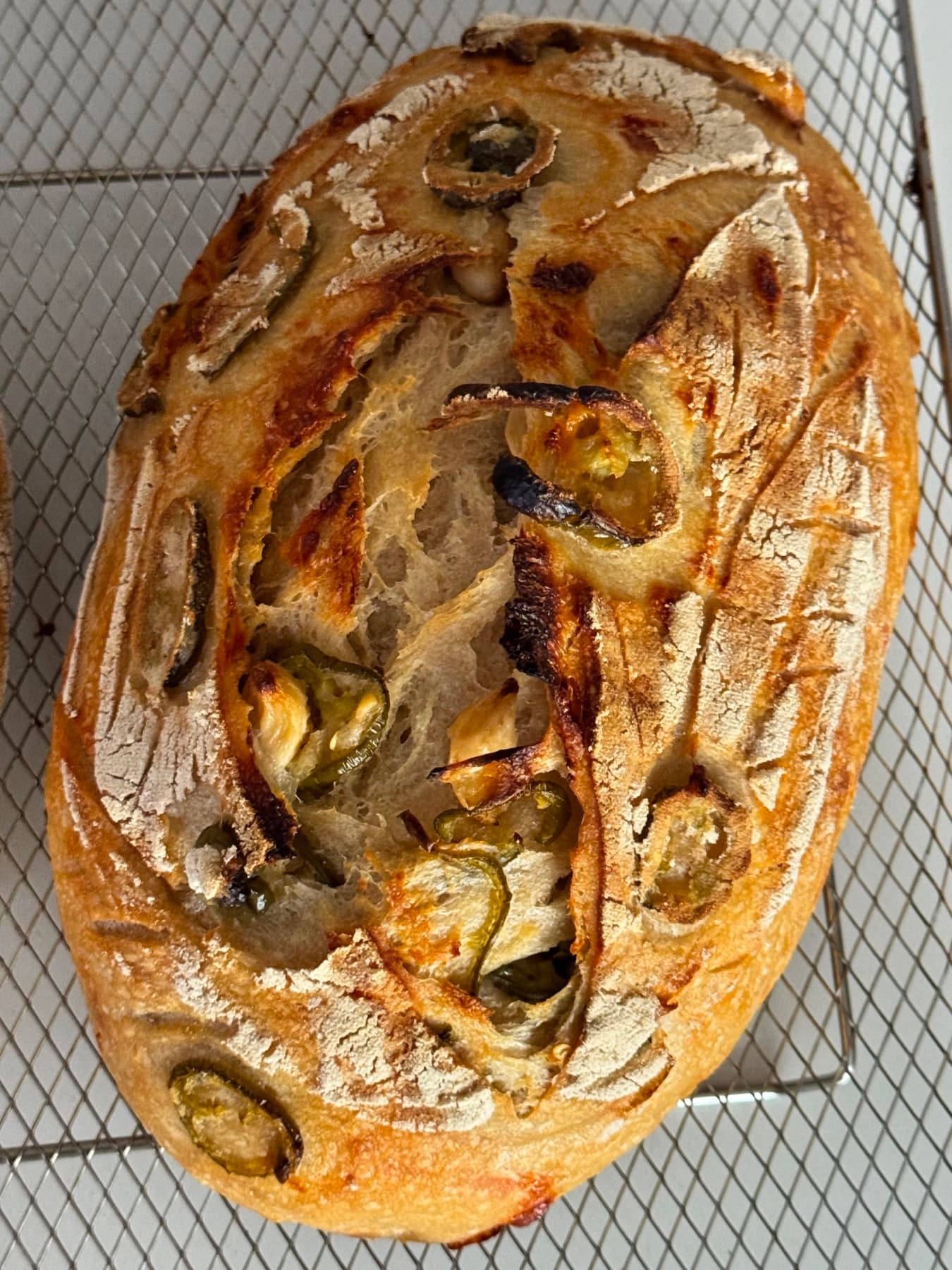 Spicy Cheddar, Jalapeño & Roasted Garlic Sourdough, photo 3