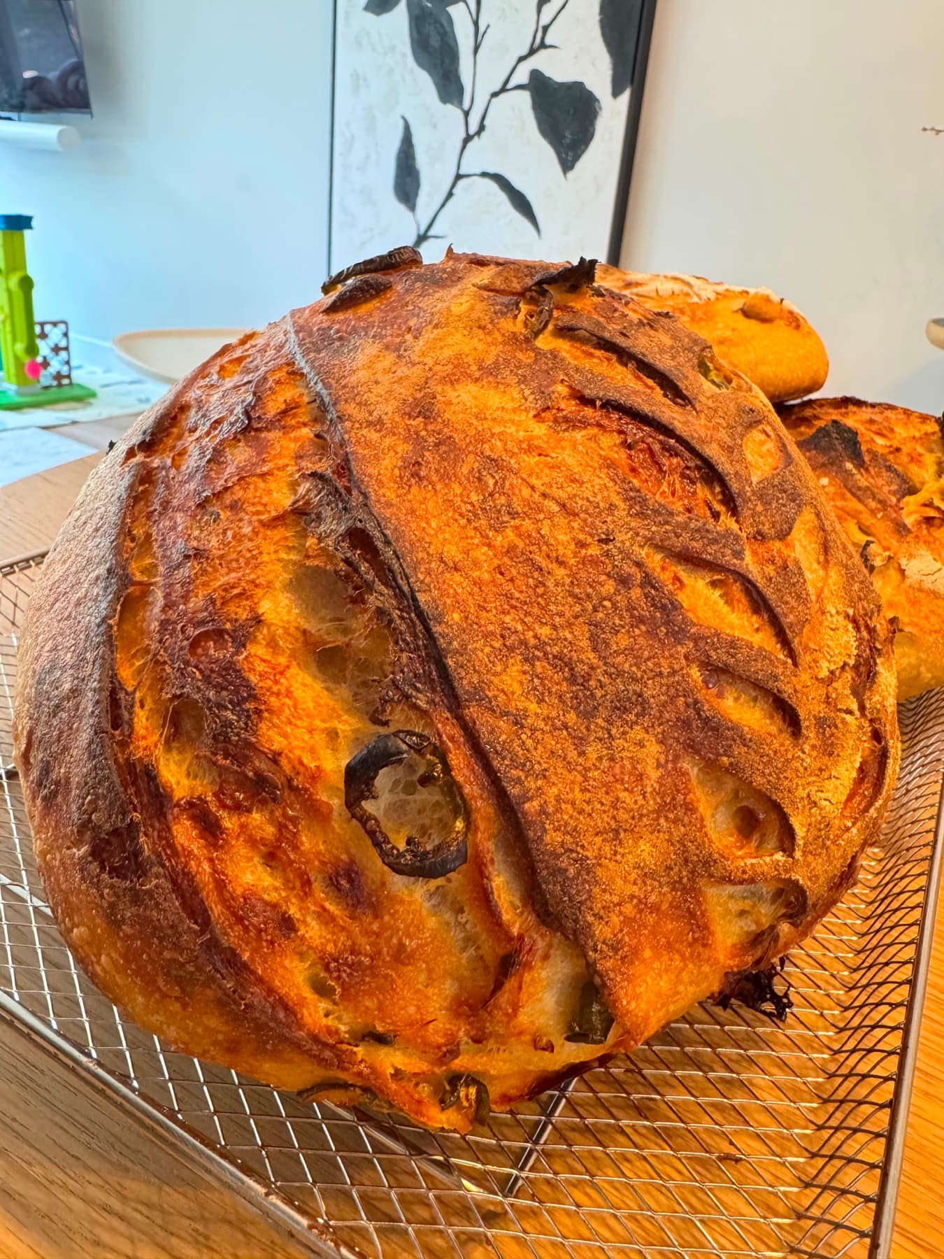Spicy Cheddar, Jalapeño & Roasted Garlic Sourdough, photo 6