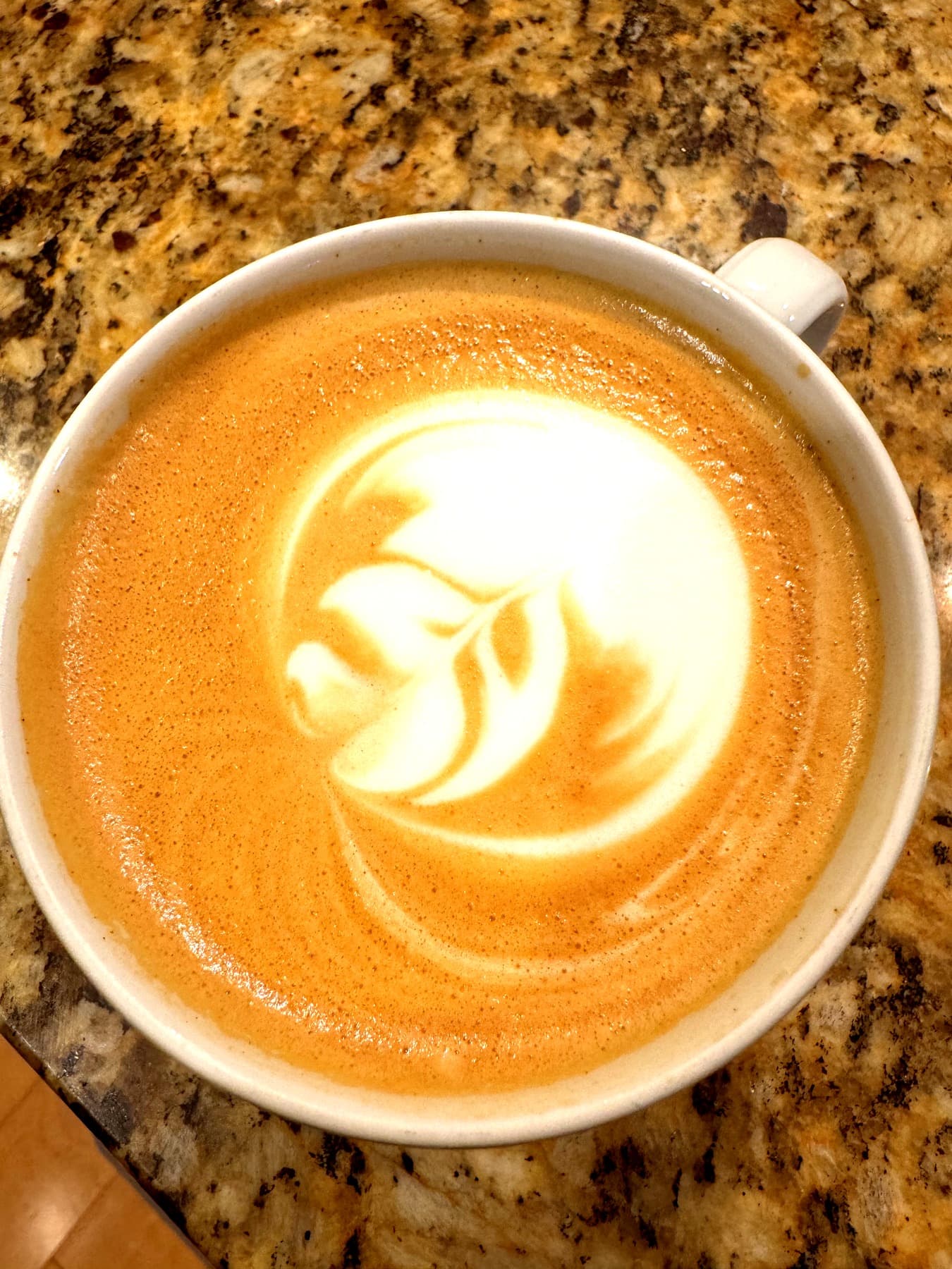 The Classic Cappuccino