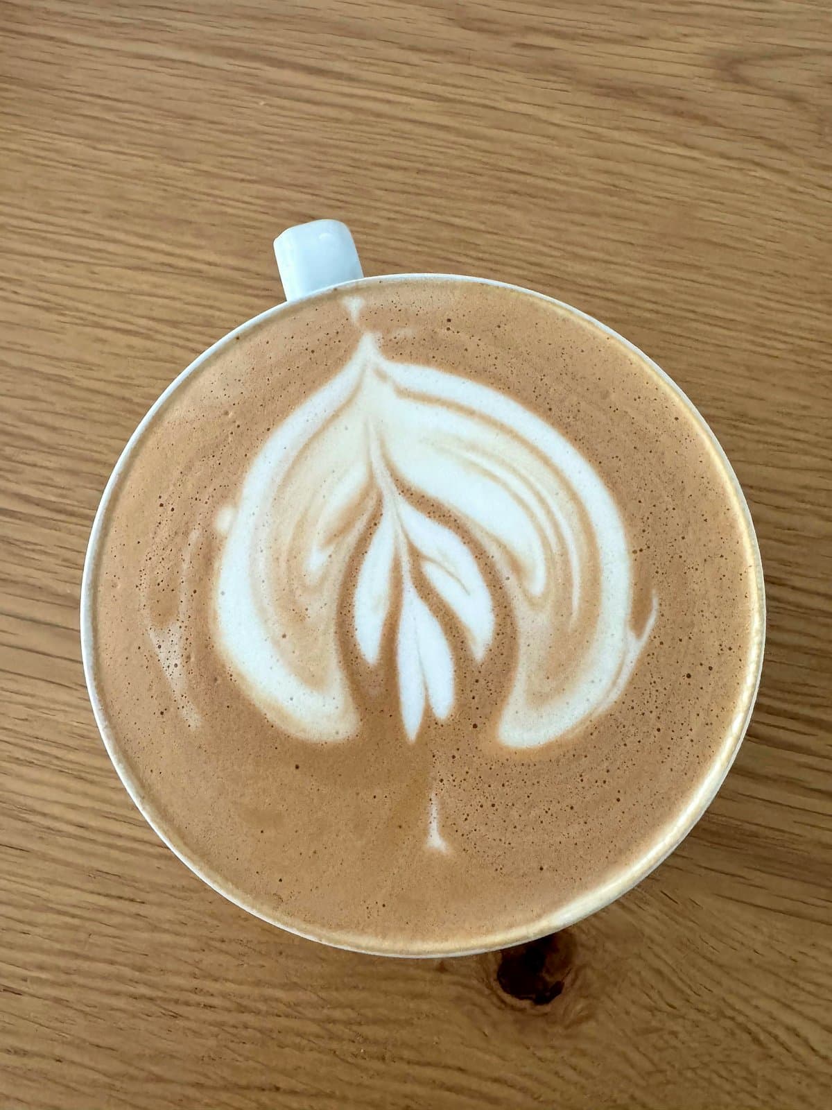 Mocha with Counter Culture Forty-Six