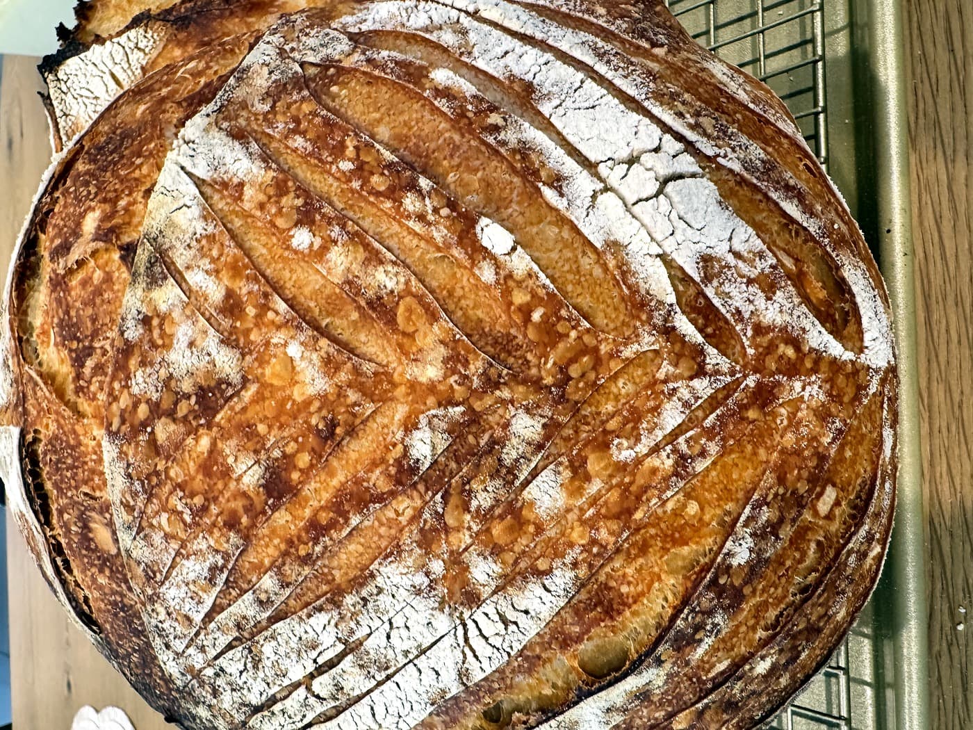 Country Sourdough