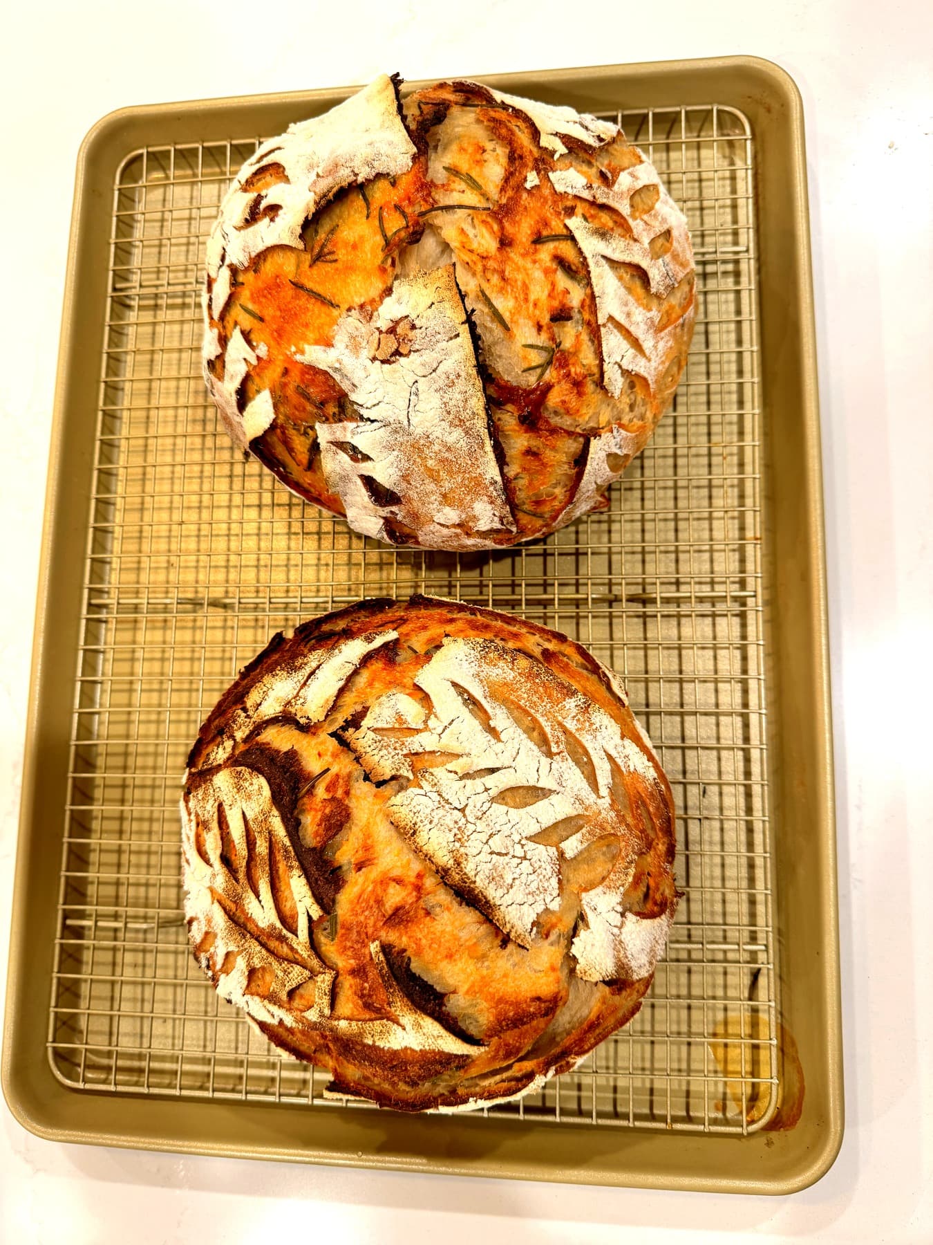 Inclusion Loaves